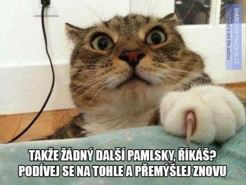 Přemýšlej