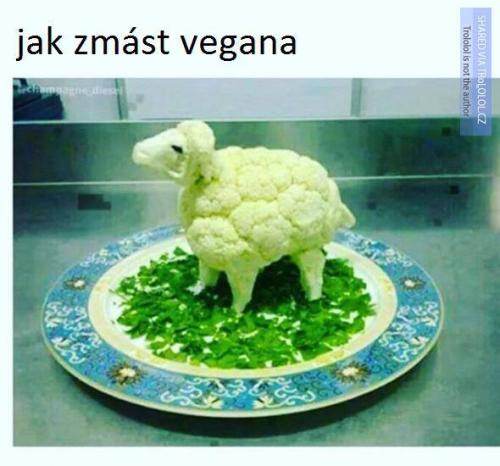 Jak zmást vegana