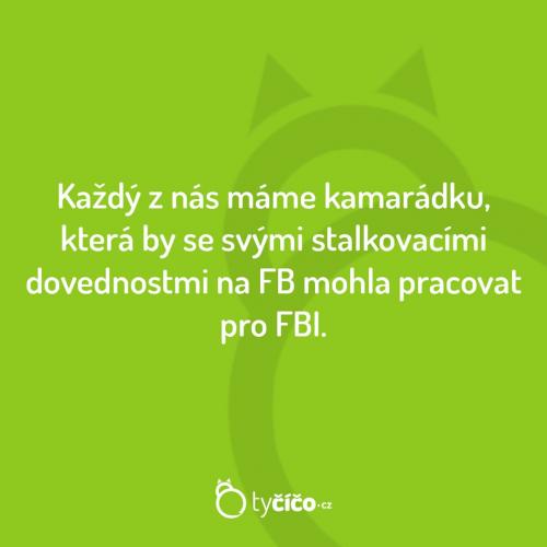  Kamarádka 