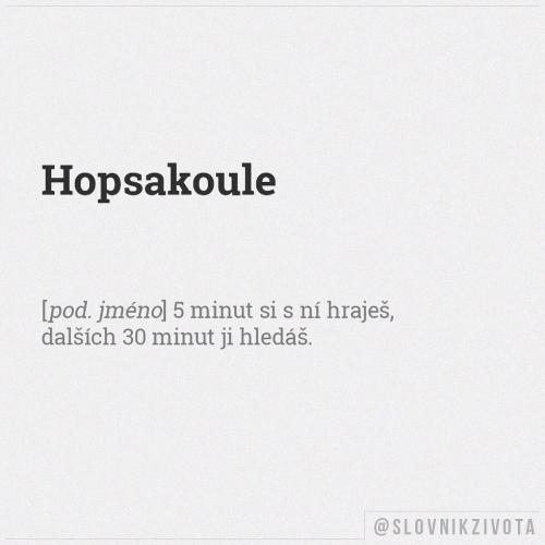 Hopsakoule
