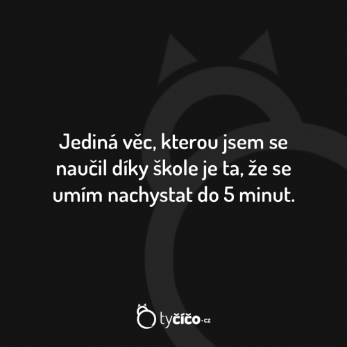  Jediná věc 