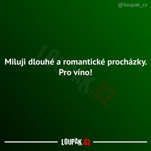  Procházka 