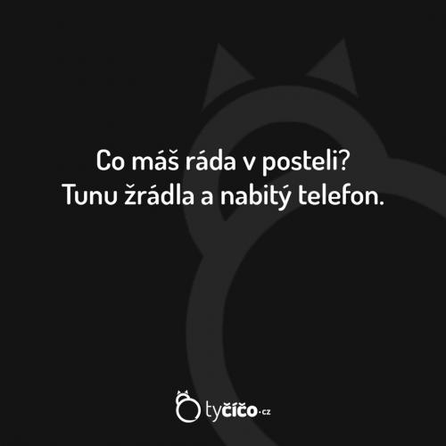  Telefon 