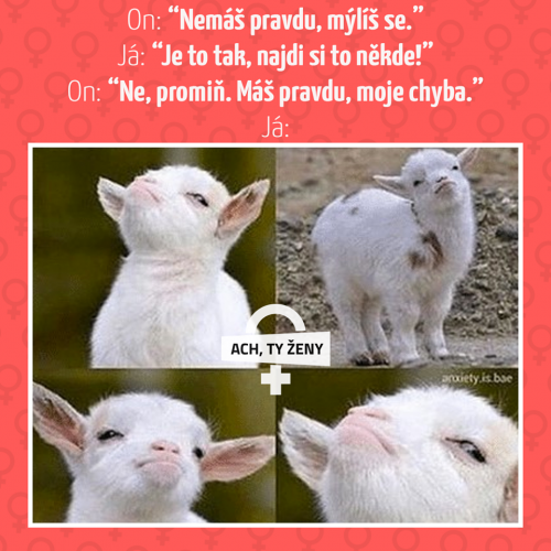  Moje chyba 