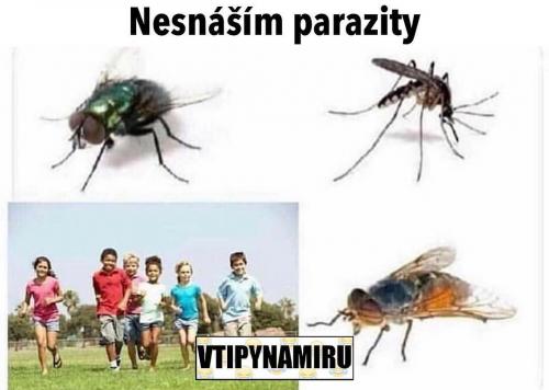  Parazité 