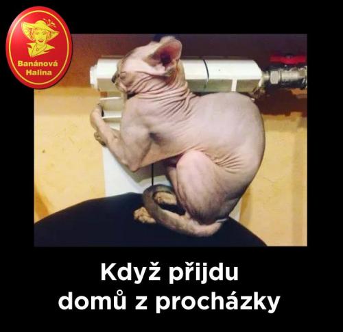  Procházka 