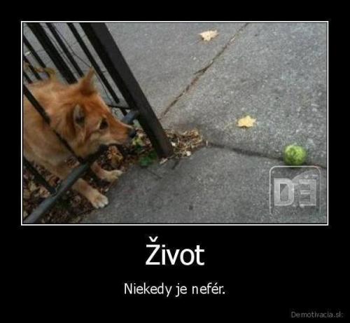  Zivot 