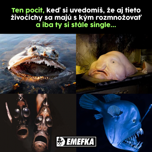 Rozmnožobání