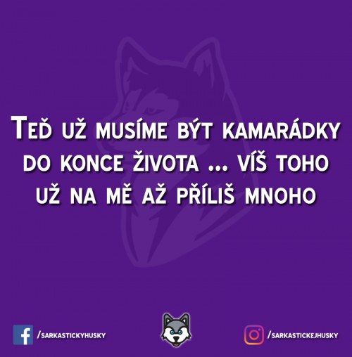  Máš takovou kamarádku 