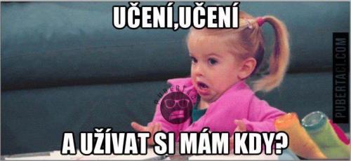  Učení 