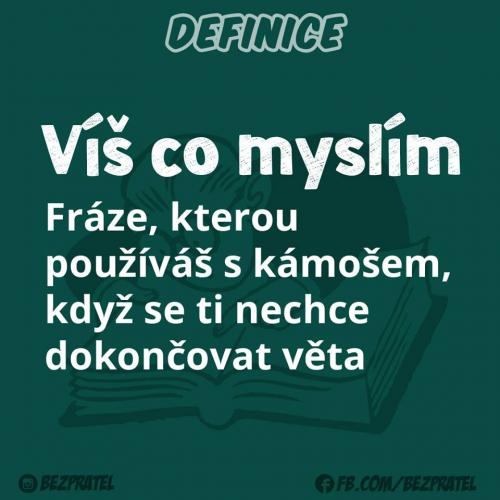 Víš co myslím