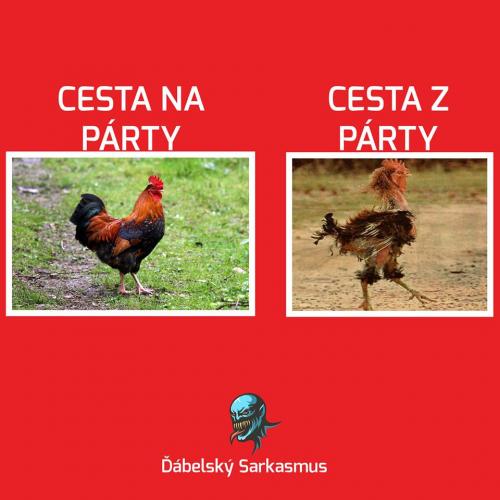  Cesta z party 