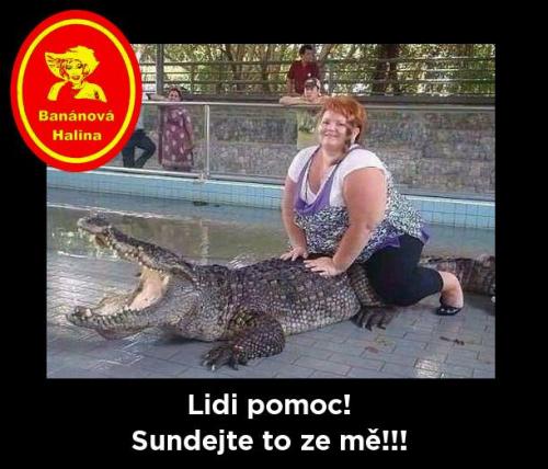  lidi pomoc 