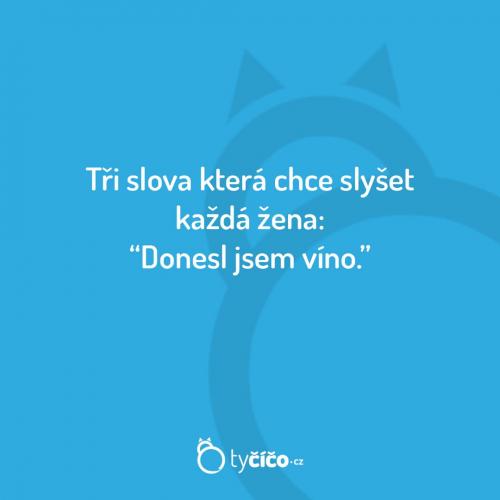  Donesl jsem víno 