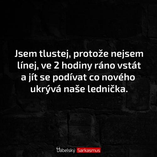  Jsem tlustej protože 