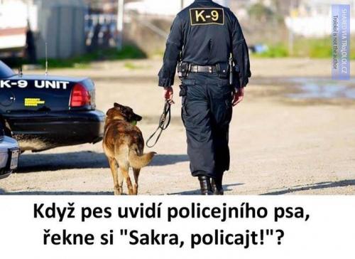  Sakra, policajt 