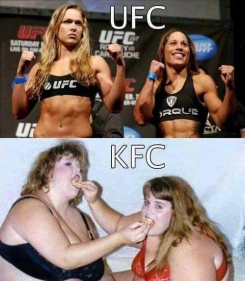  UFC 