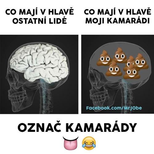  Kamarád 