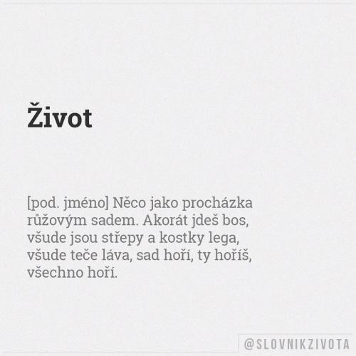  Život 