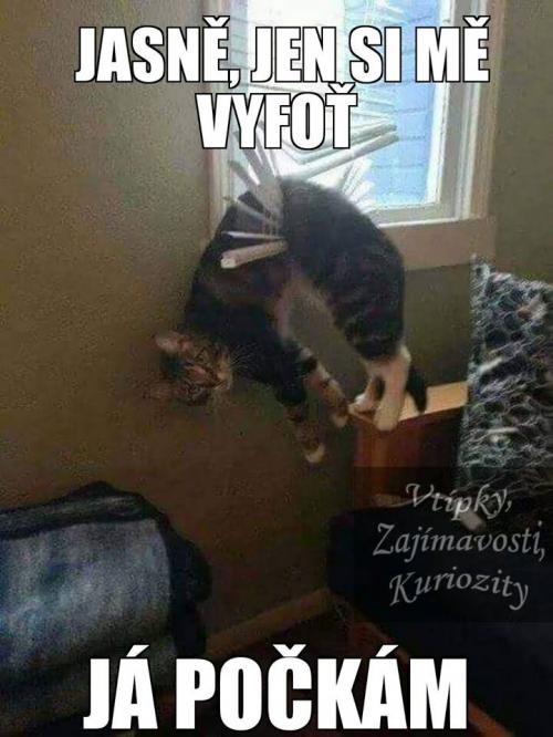 Vyfoť