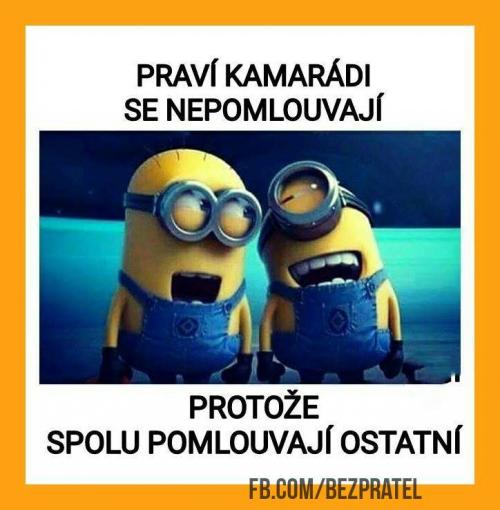  Praví kamarádi 