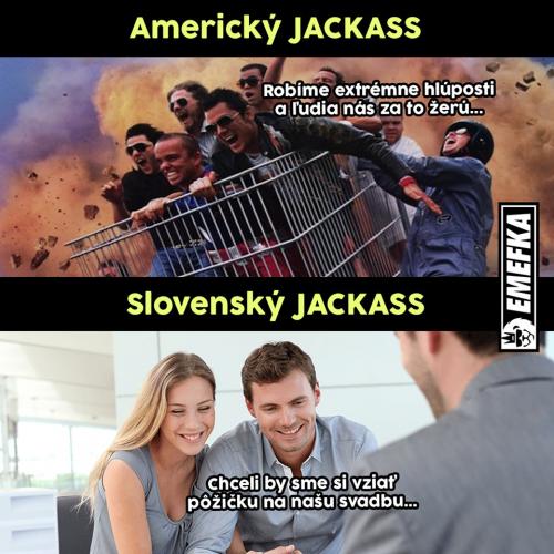  Jackass 