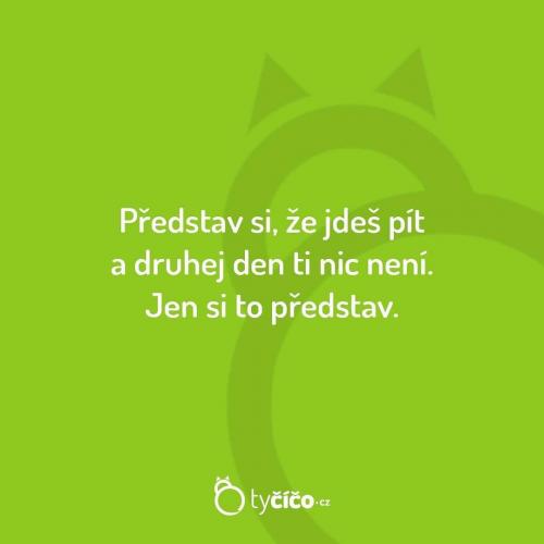  Představa 