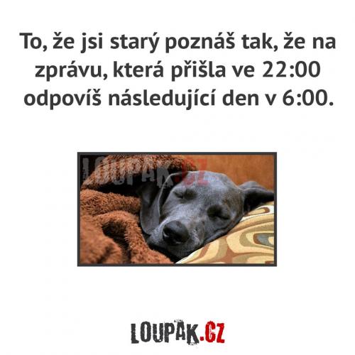  Zpráva 