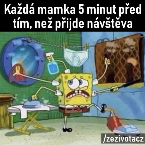  Návštěva 