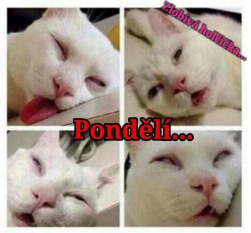  Pondělí 