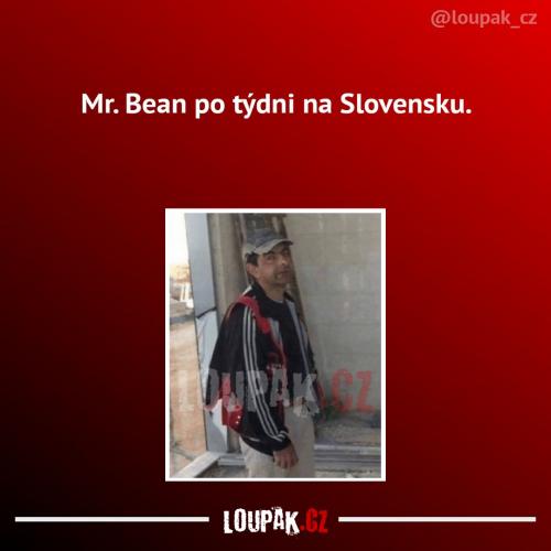  Asi to bylo náročné 