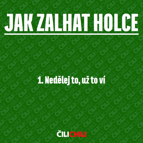  Jak zalhat holce 