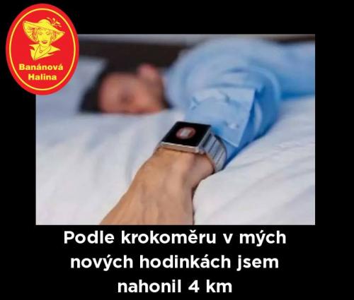 Krokoměrr