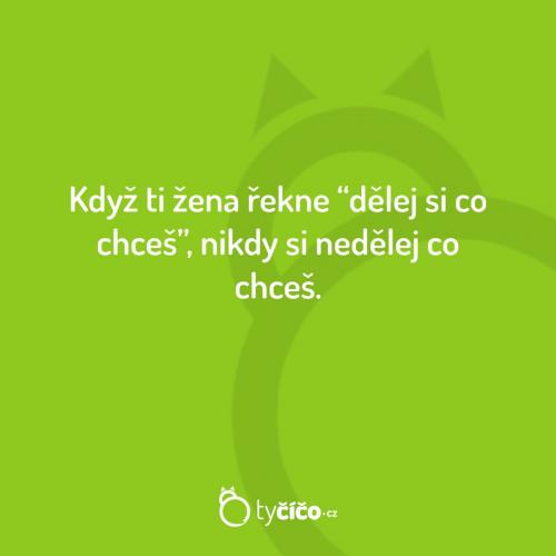 Dělej si co chceš