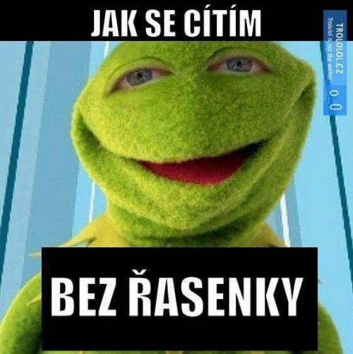  Bez řasenky 