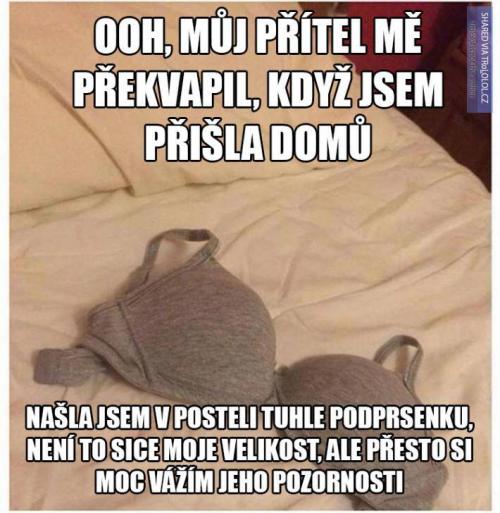  Přišla domů 