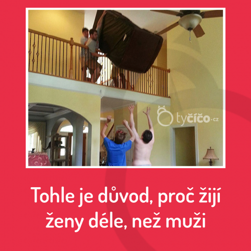  Důvod 