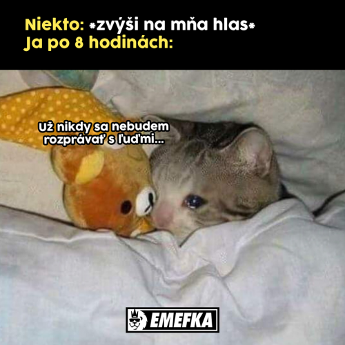  Už nikdy 