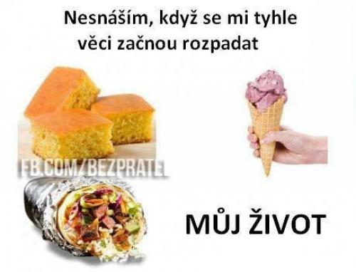  Život ve zkratce 