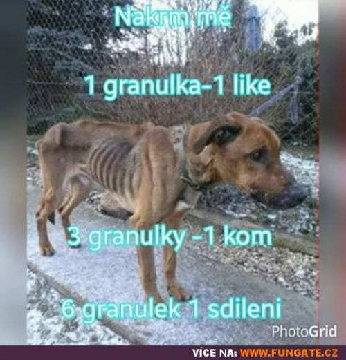 Nakrm jej