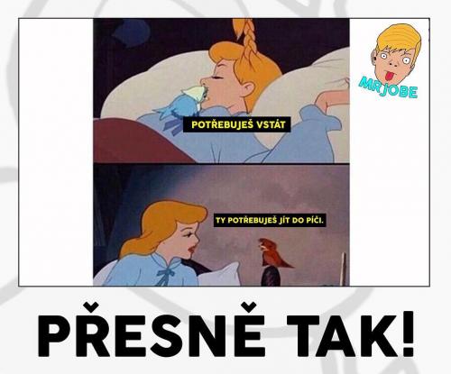  Přesně tak 