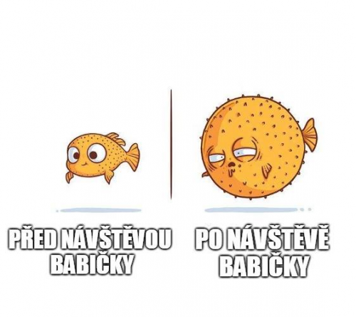  Návštěva 