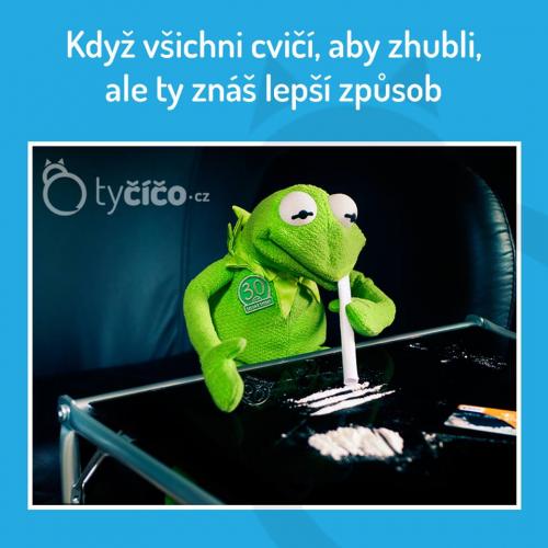  Cvičení 