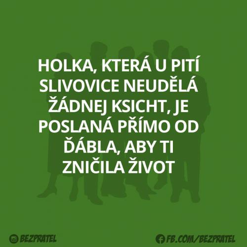  Slivovice 