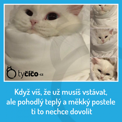  Vstávání 