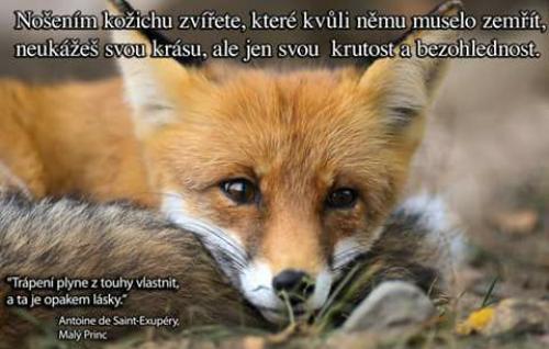 Zemříz