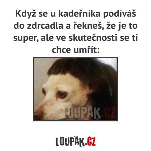 Zrcadki