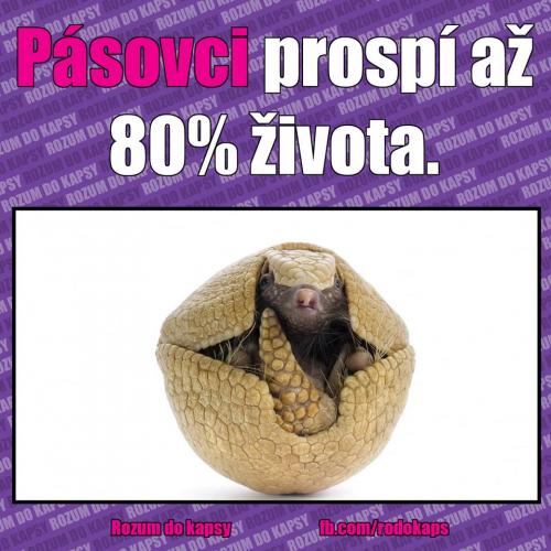 Psovci
