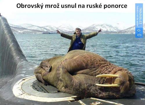  Ponorka 