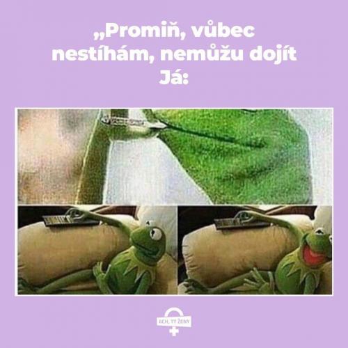 Nestíhám